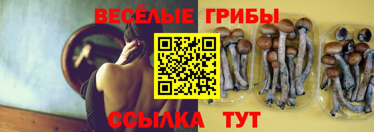 Галлюциногенные грибы Magic Shrooms Ковров