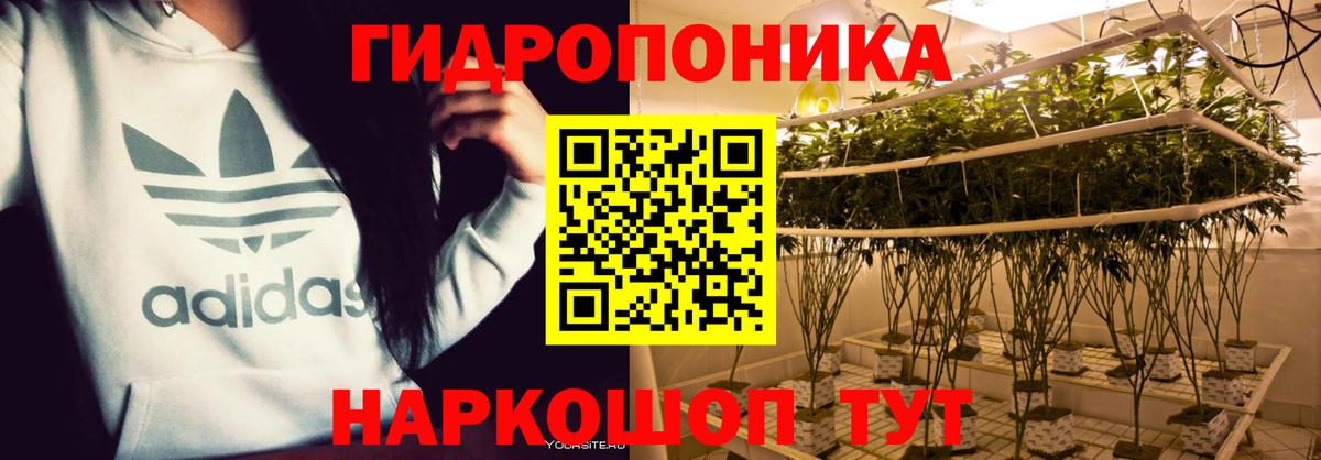 Бошки марихуана ГИДРОПОН Ковров